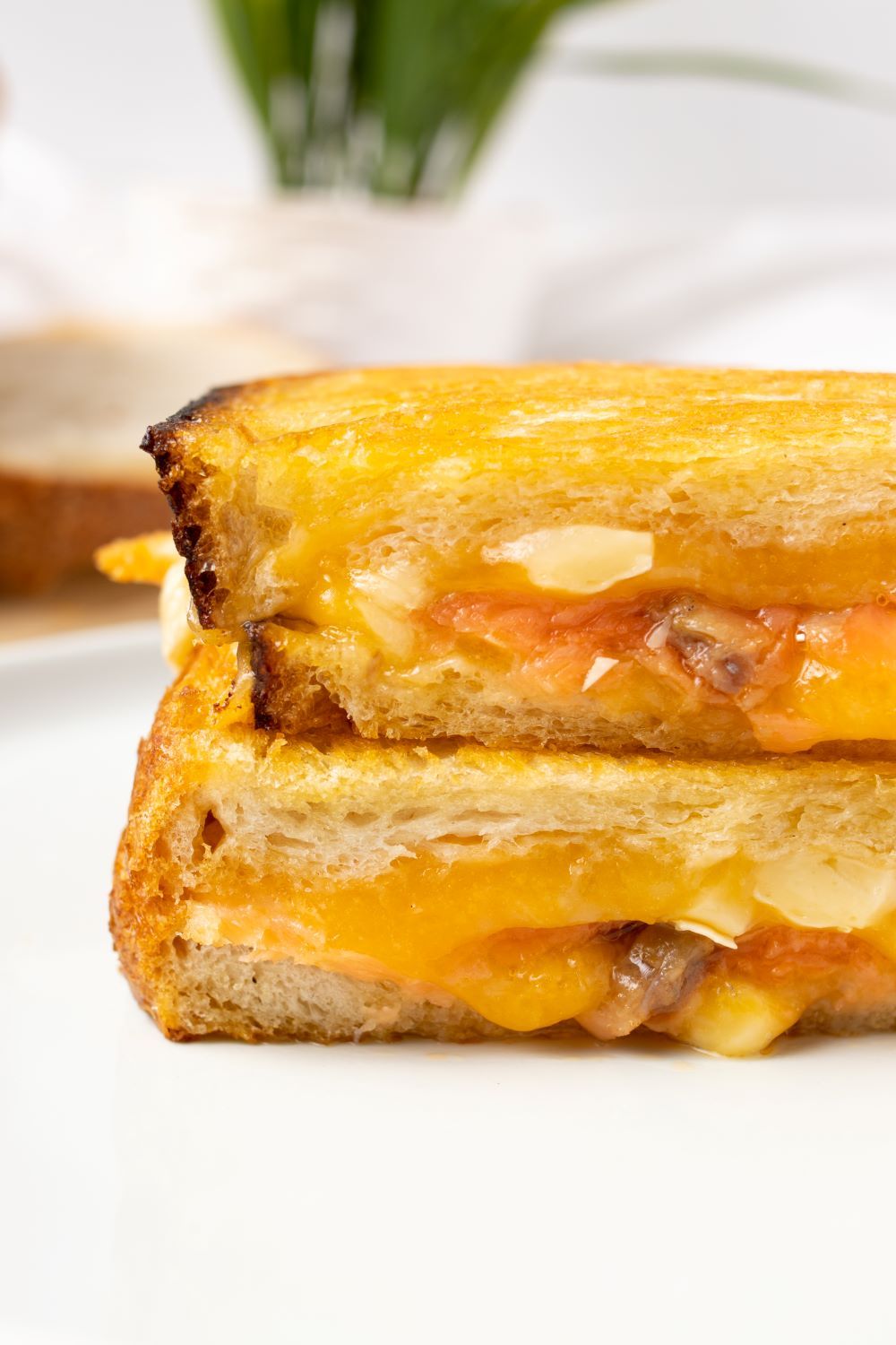 Closer Look of Salmon Grilled Cheese